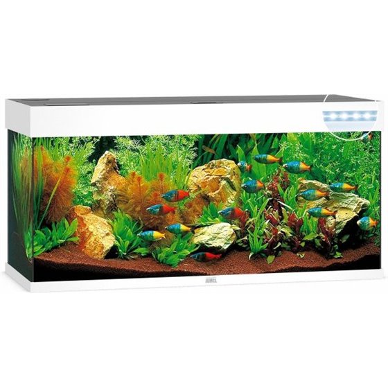 Juwel aquarium rio 240 led