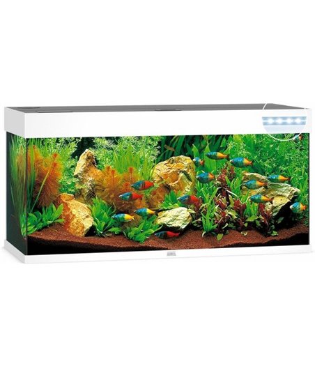 Juwel aquarium rio 240 led