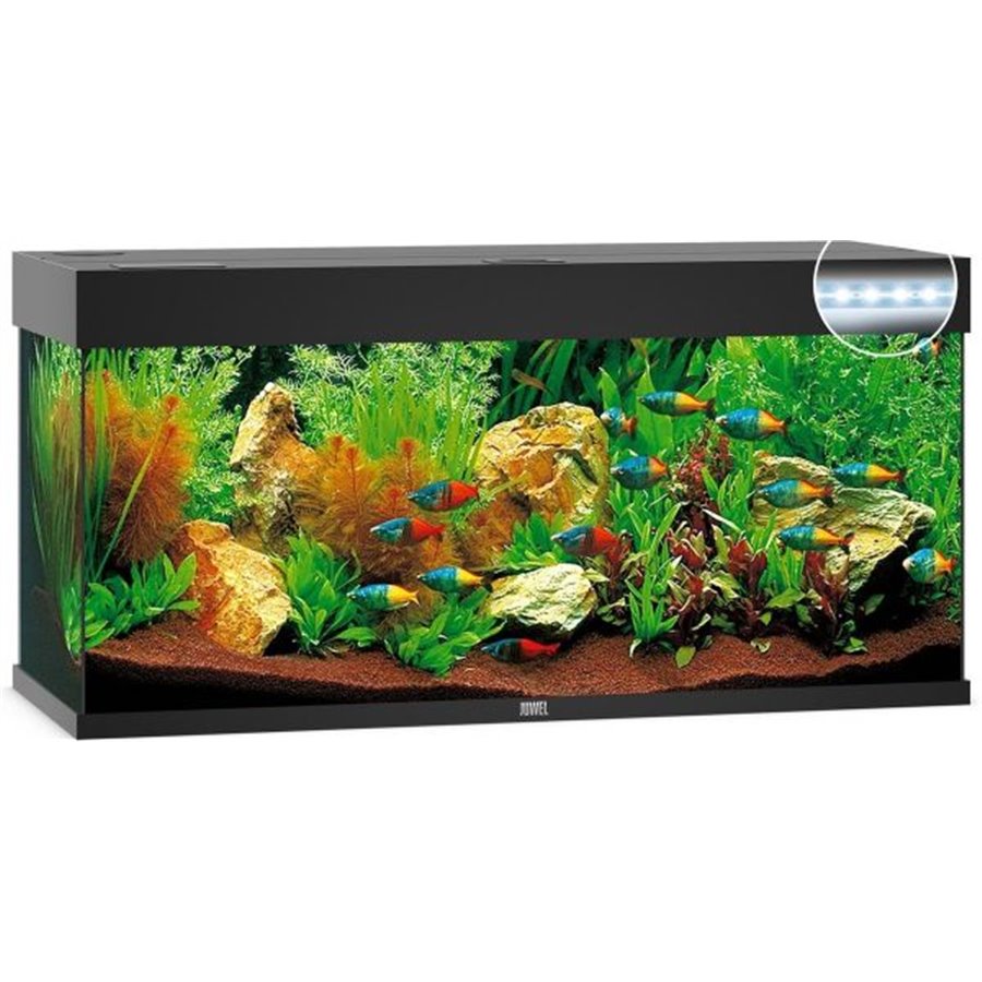 Juwel aquarium rio 240 led