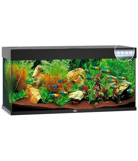 Juwel aquarium rio 240 led
