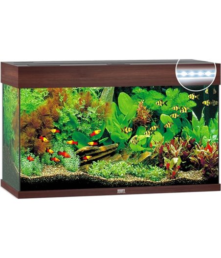 Juwel aquarium rio 125 led