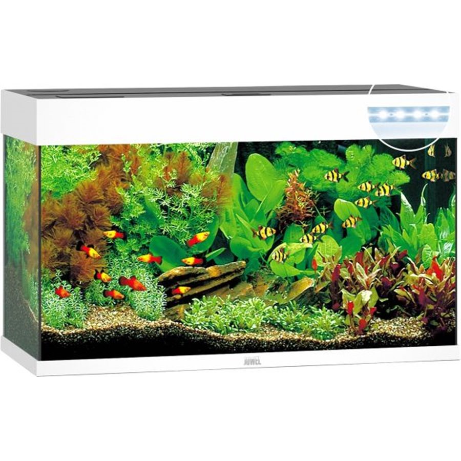 Juwel aquarium rio 125 led