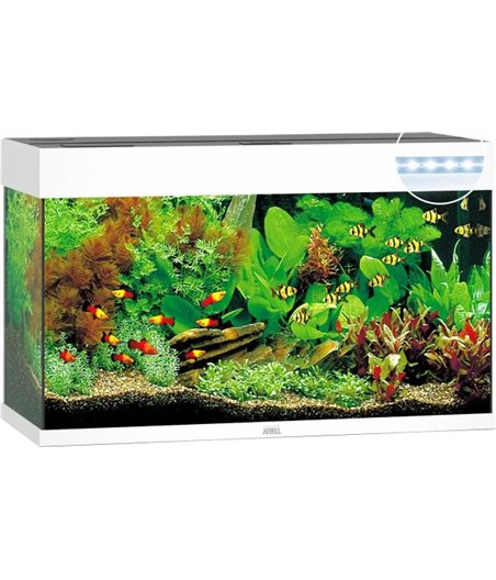 Juwel aquarium rio 125 led