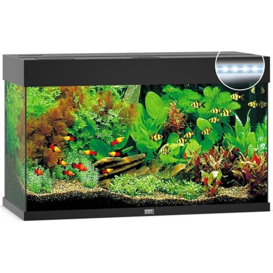 Juwel aquarium rio 125 led