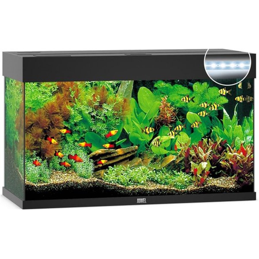 Juwel aquarium rio 125 led