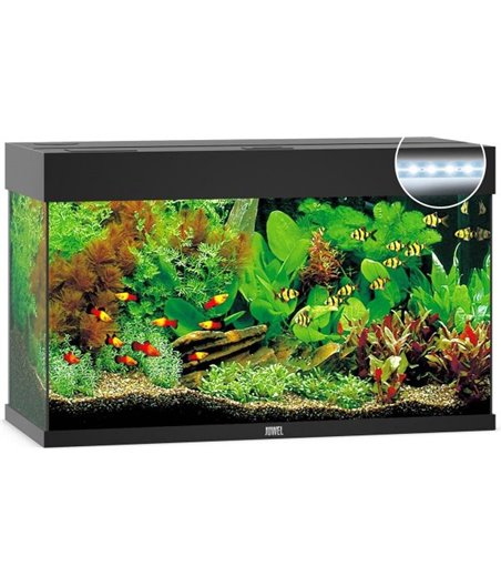 Juwel aquarium rio 125 led
