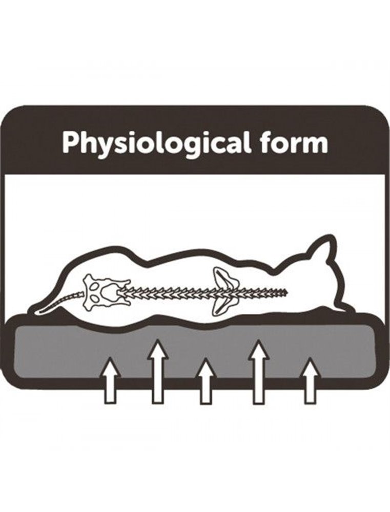 Flamingo Kussen Orthopedisch Ovaal - Grijs - 55x40x7cm