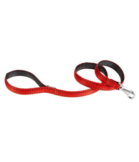 Ferplast hondenriem / leiband cricket nylon rood - 120cm x 15mm