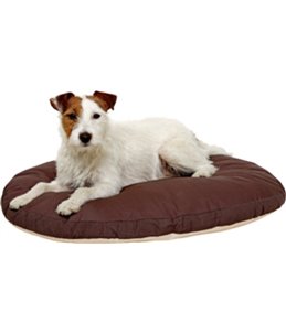 Kussen ovaal doc bed be/br120x84x12 