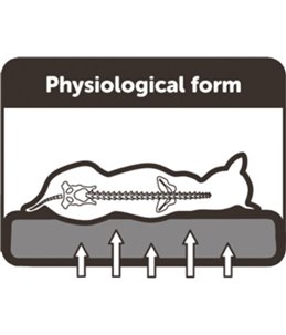 Bed ortho ovaal grijs 100x65x24