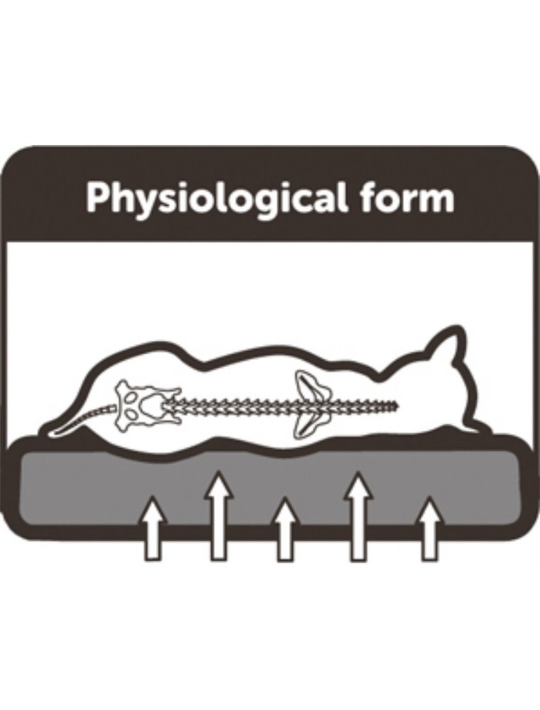 Bed ortho ovaal grijs 100x65x24