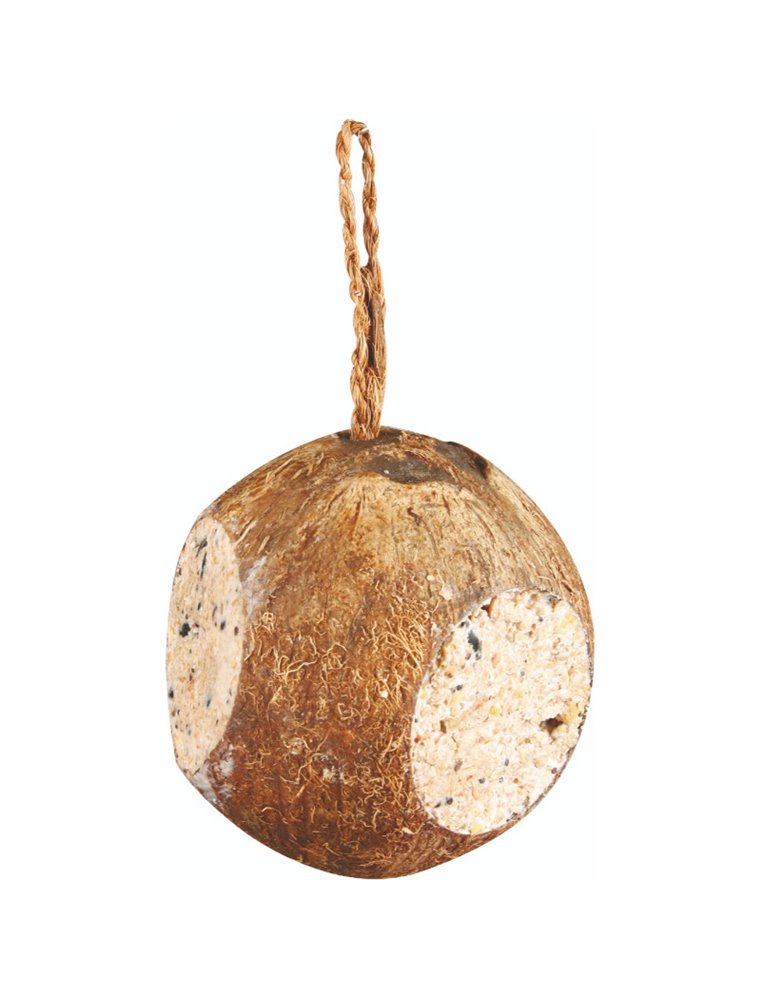 Gevulde kokosnoot met gaten
