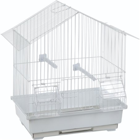 Vogelkooi lombok wit