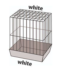 Parkietenkooi klara 2 wit 45x28x62,5cm