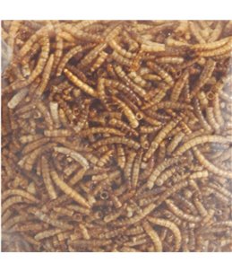 Picnick gedroogde meelwormen 100g 