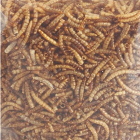 Picnick gedroogde meelwormen 540g 