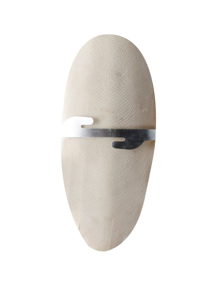 Sepia schelp op kaart 16,5cm 