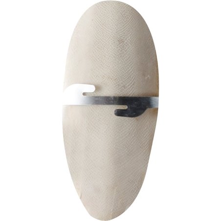 Sepia schelp op kaart 16,5cm 