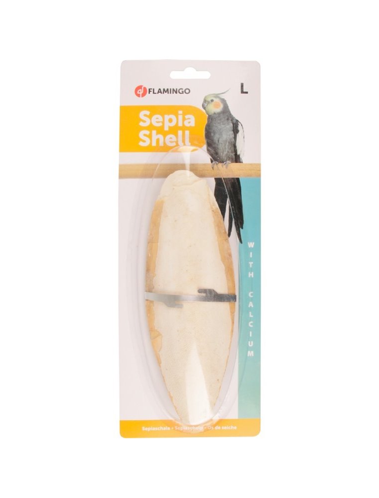 Sepia schelp op kaart 23cm 