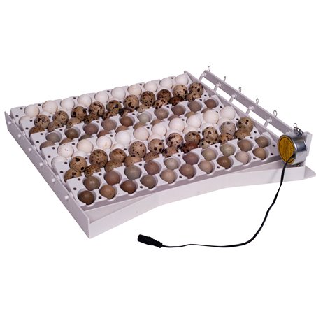 Automatisch keersysteem voor 42 eieren +