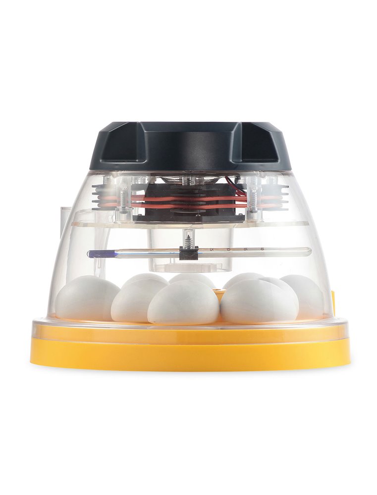 Brinsea Mini 2 ECO broedmachine