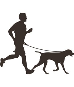 Doggy-joggy lijn zwart 65-120cm25mm