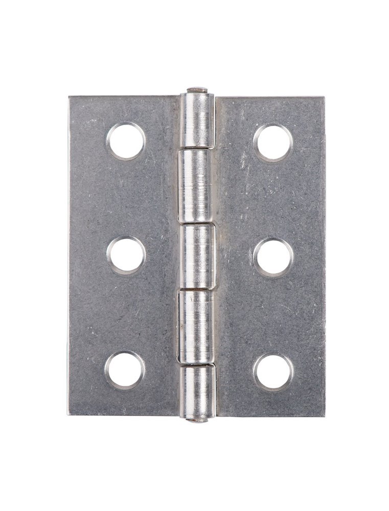 Scharnier RVS 304 50mm