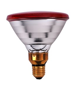 Interheat PAR infrarood lamp 175W rood