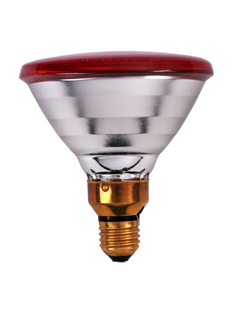 Interheat PAR infrarood lamp 175W rood