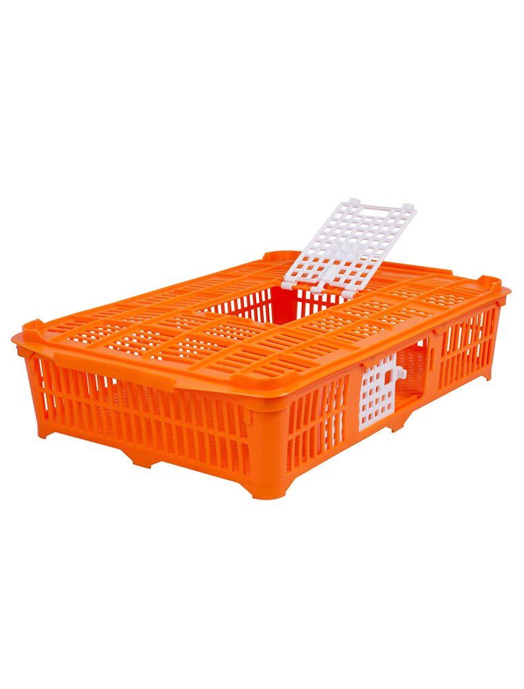 Transportkist voor duiven/kwartels oranj