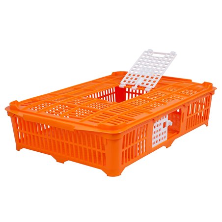 Transportkist voor duiven/kwartels oranj