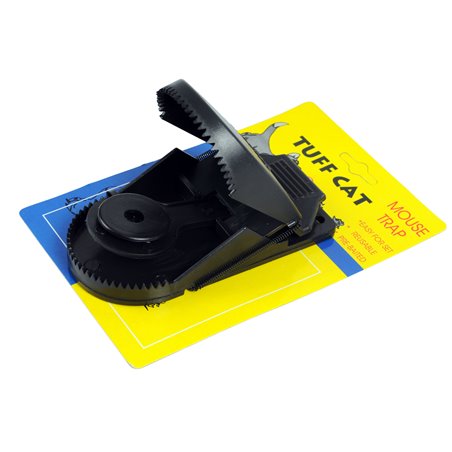 Rattenval 'tuff cat'