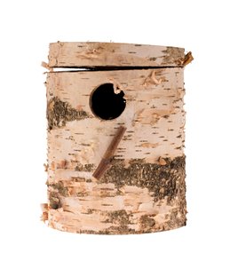 Berkenblok grote parkiet