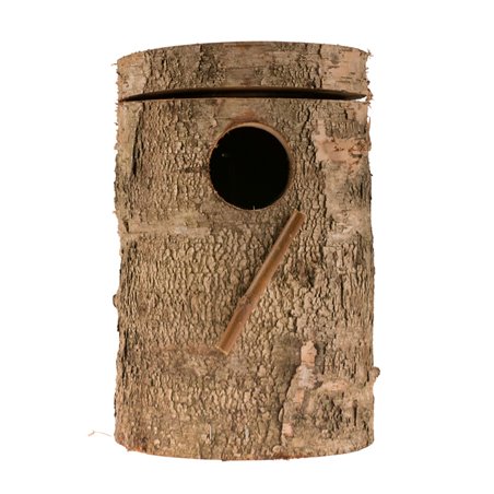 Berkenblok valkparkiet