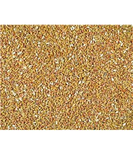 ZUIVERING CONTINENTAL NATURAL