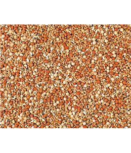 JONGE DUIVEN MAXI NATURAL P30