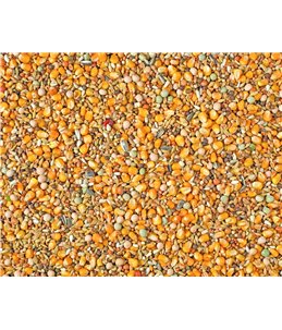 RUI MAXI 2M POPCORN NATURAL