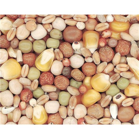 Kweek sport duvo-deco p30