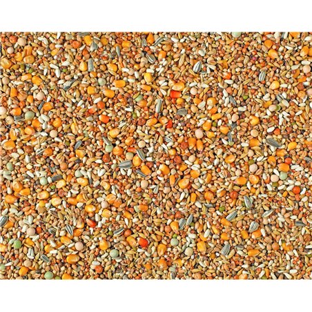 Rui maxi 2m cribs natural