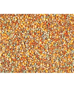 KWEEK MAXI 2M CRIBS NATURAL