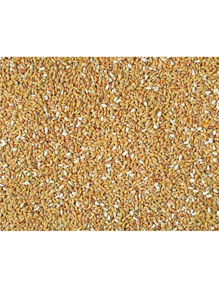 ZUIVERING SPECIAL NATURAL P30