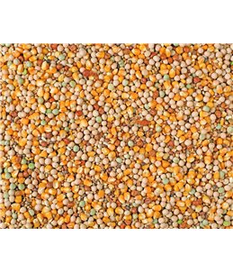 JONGE DUIVEN FRANSE MAIS NATURAL P60