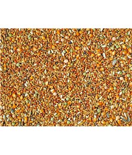 SIERDUIVEN + KLEINE MAIS NATURAL P30