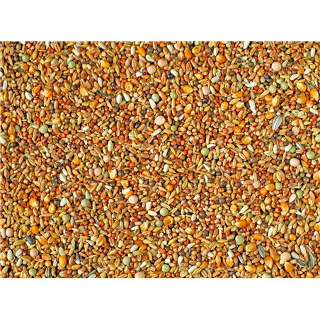 Sierduiven + kleine mais natural p30