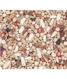 ENERGY MAXI NATURAL P30