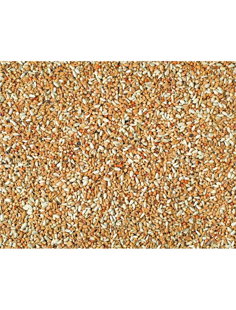 DIEET SPECIAL NATURAL P30