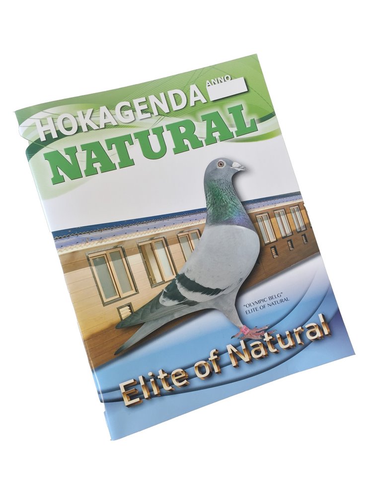 DUIVENDAGBOEK NEDERLANDSTALIG