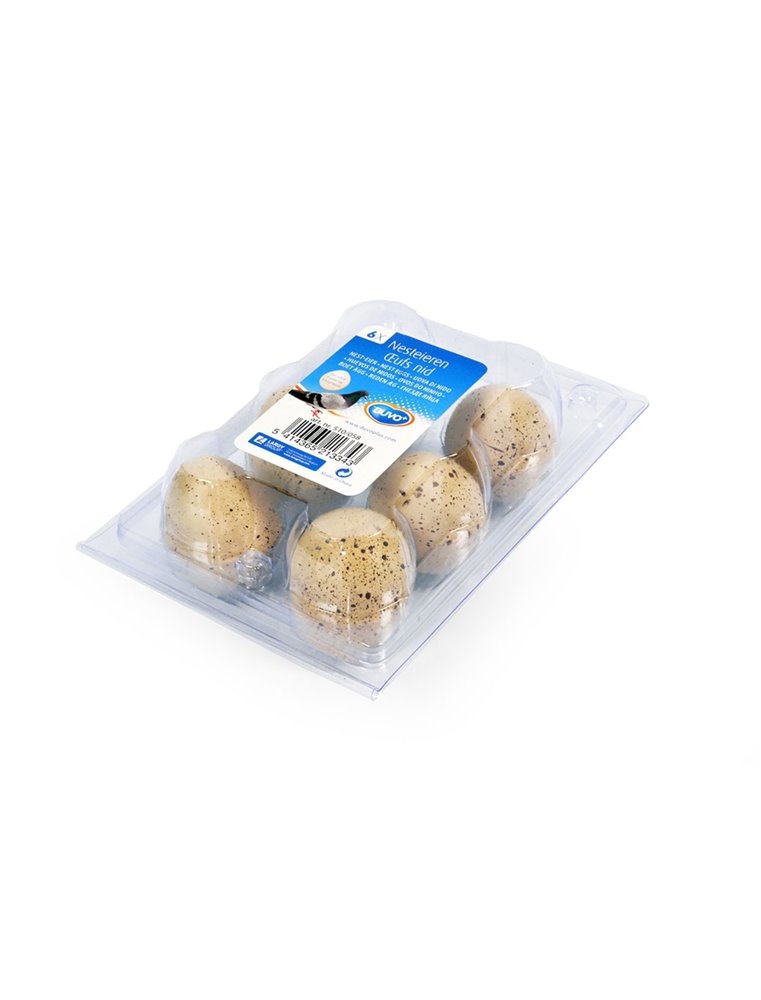 Duivenei Polyresin 6St/Blister