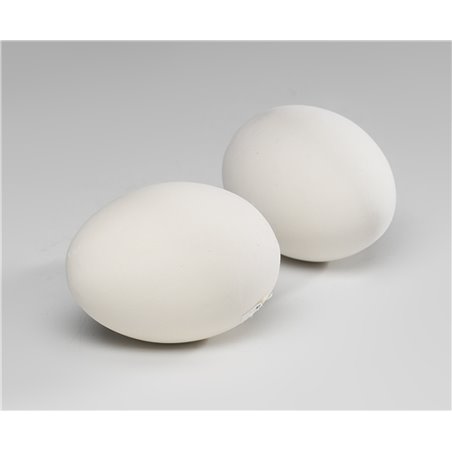 Duivenei plastiek hol, 20st