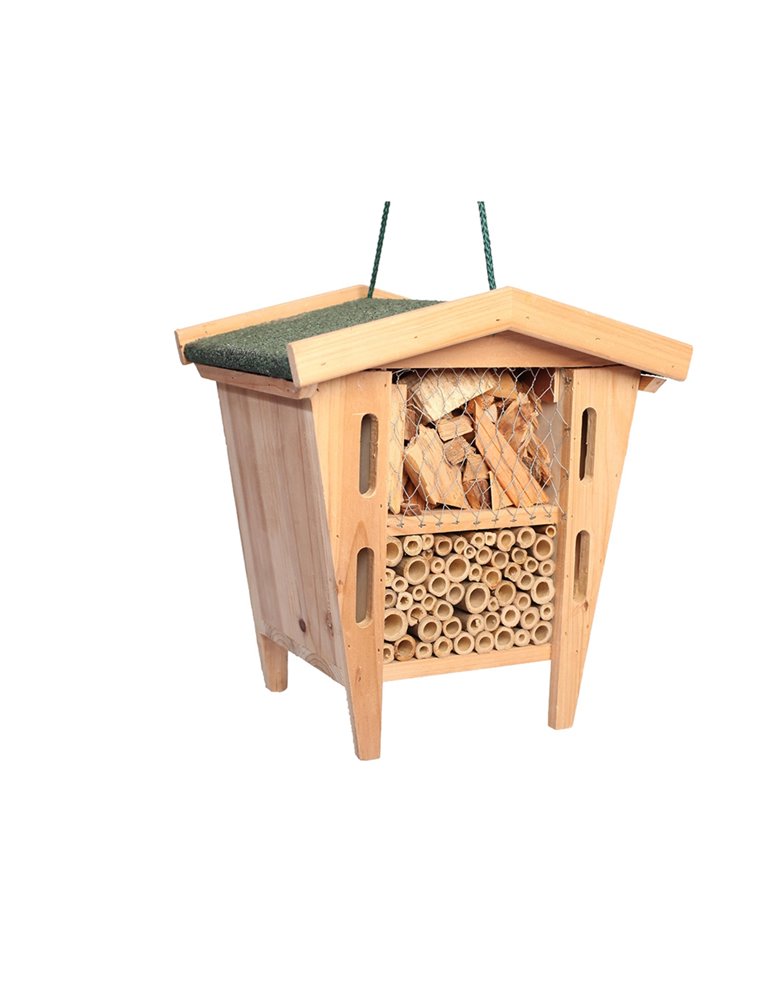 Insectenhuis Pandora